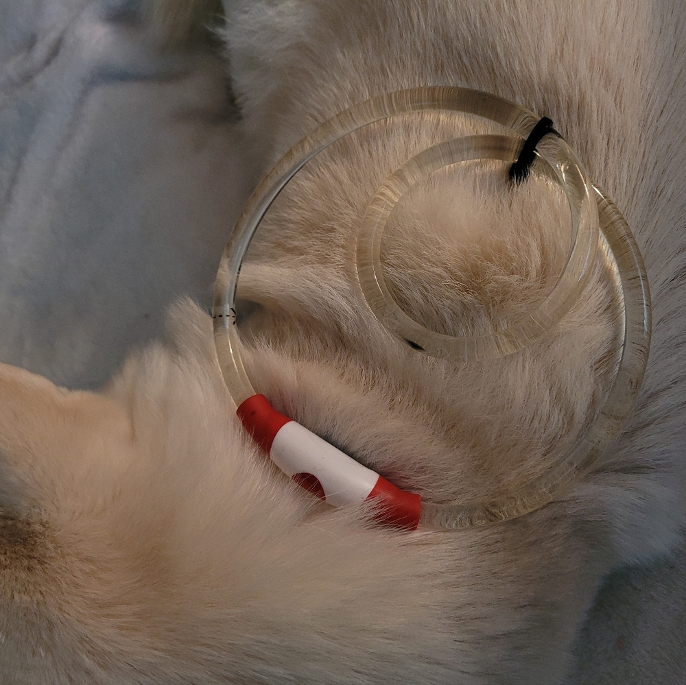 New Halo dog light Up Safety Collar , Battery operated, Adjustable size. - Picture 5 of 6